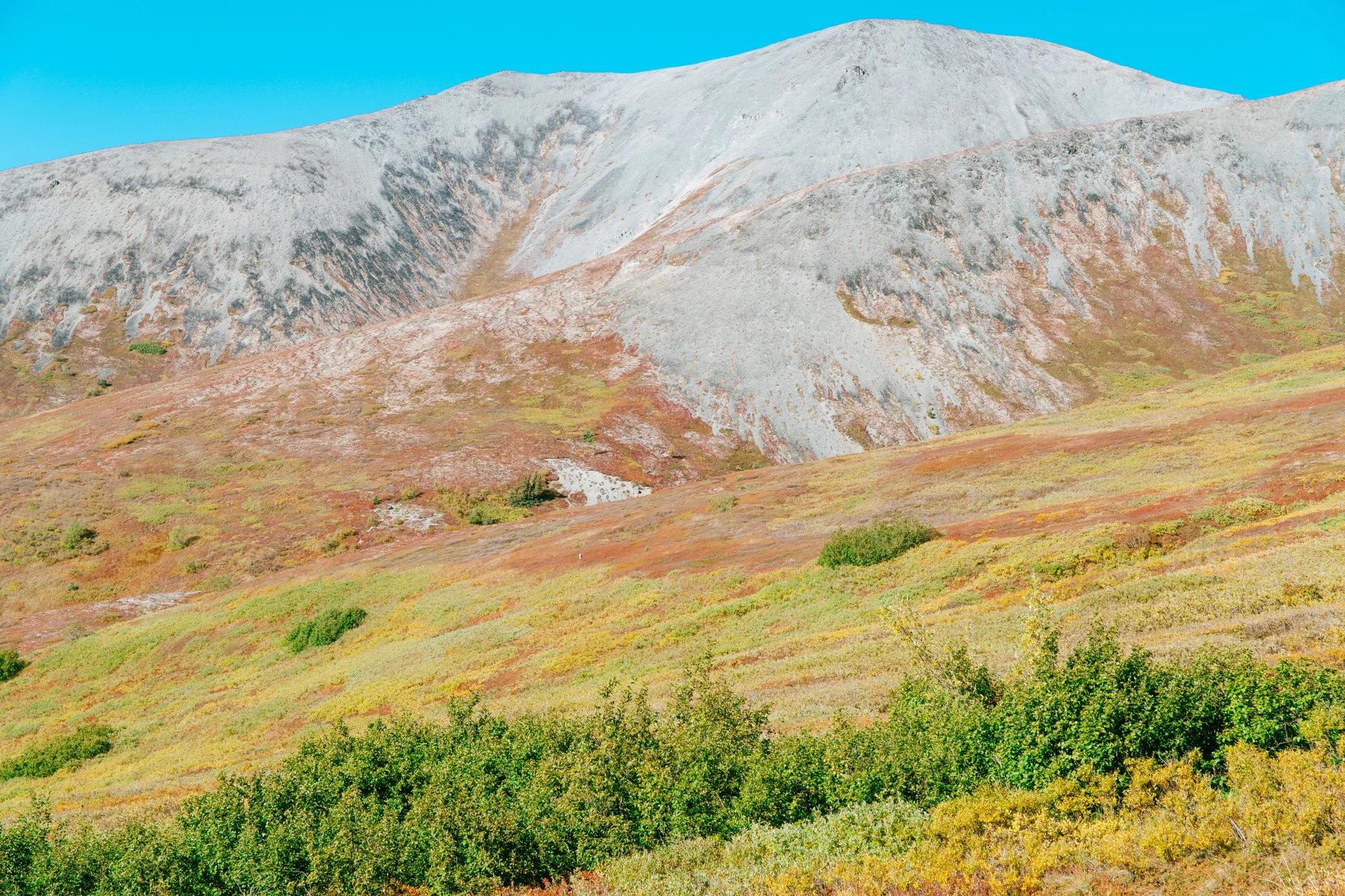 ALASKA_9.12.2020-104.jpg