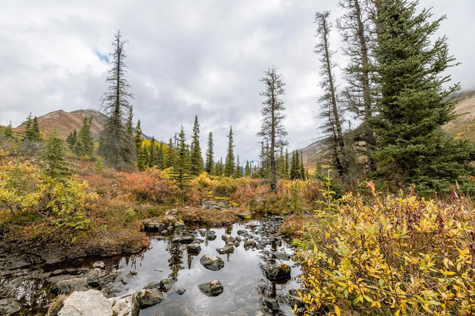 chugahtrail (1 of 1).JPG