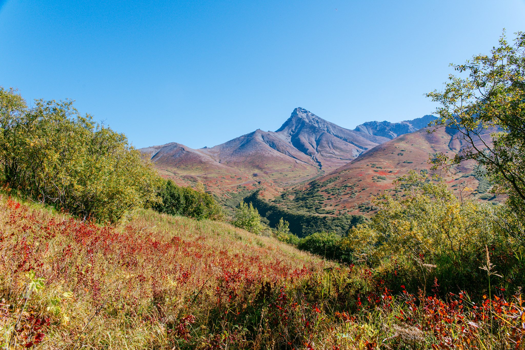 ALASKA_9.12.2020-3.jpg
