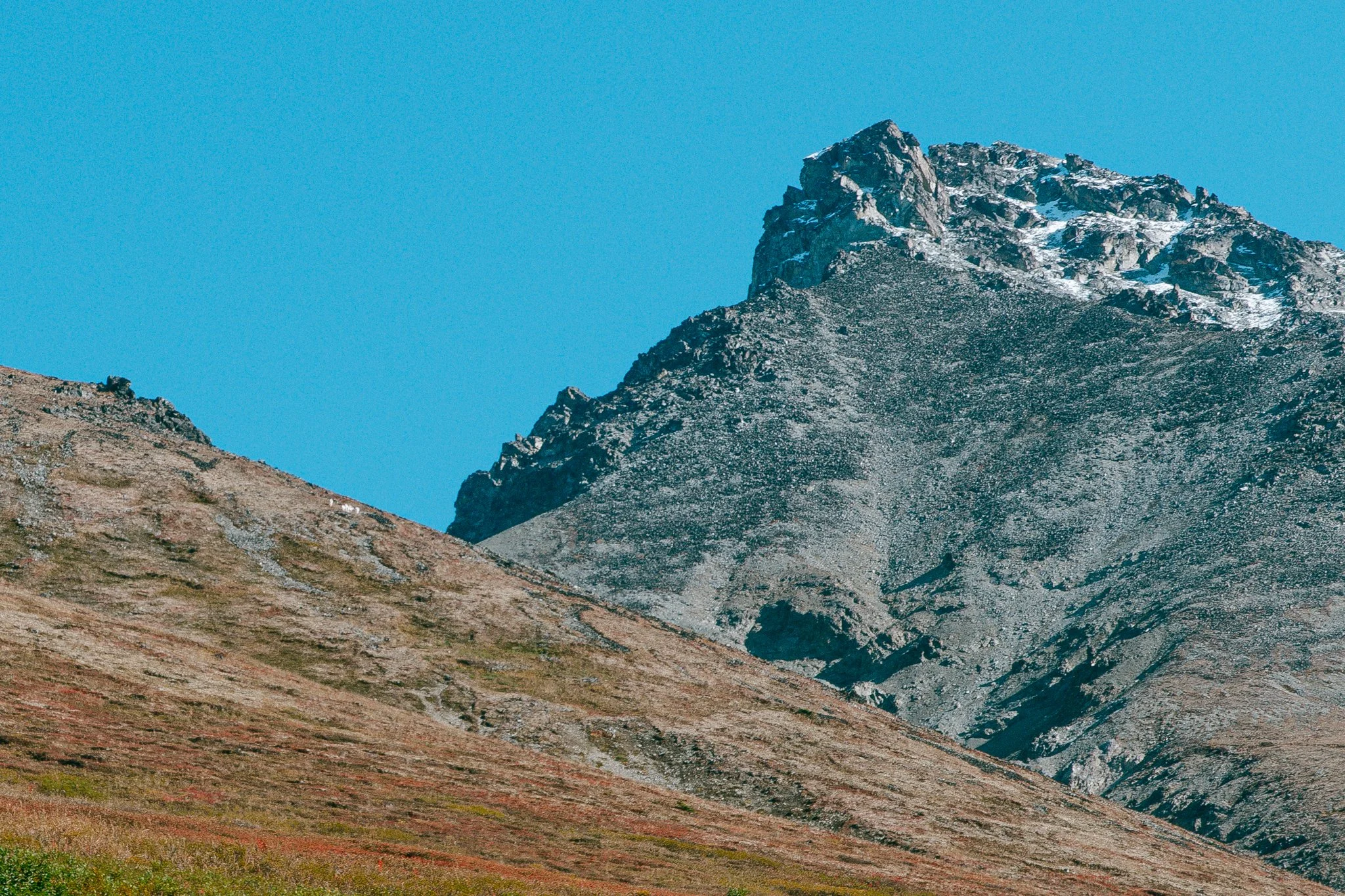 ALASKA_9.12.2020-35.jpg