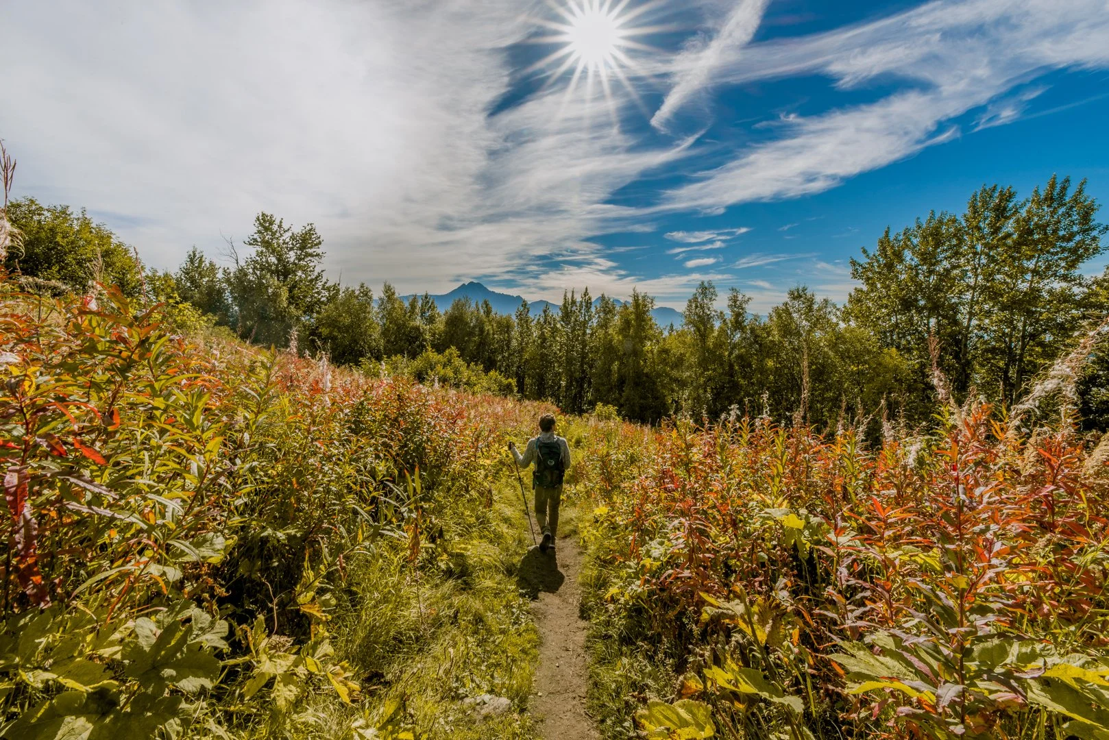 lazymountaintrail (1 of 1).JPG