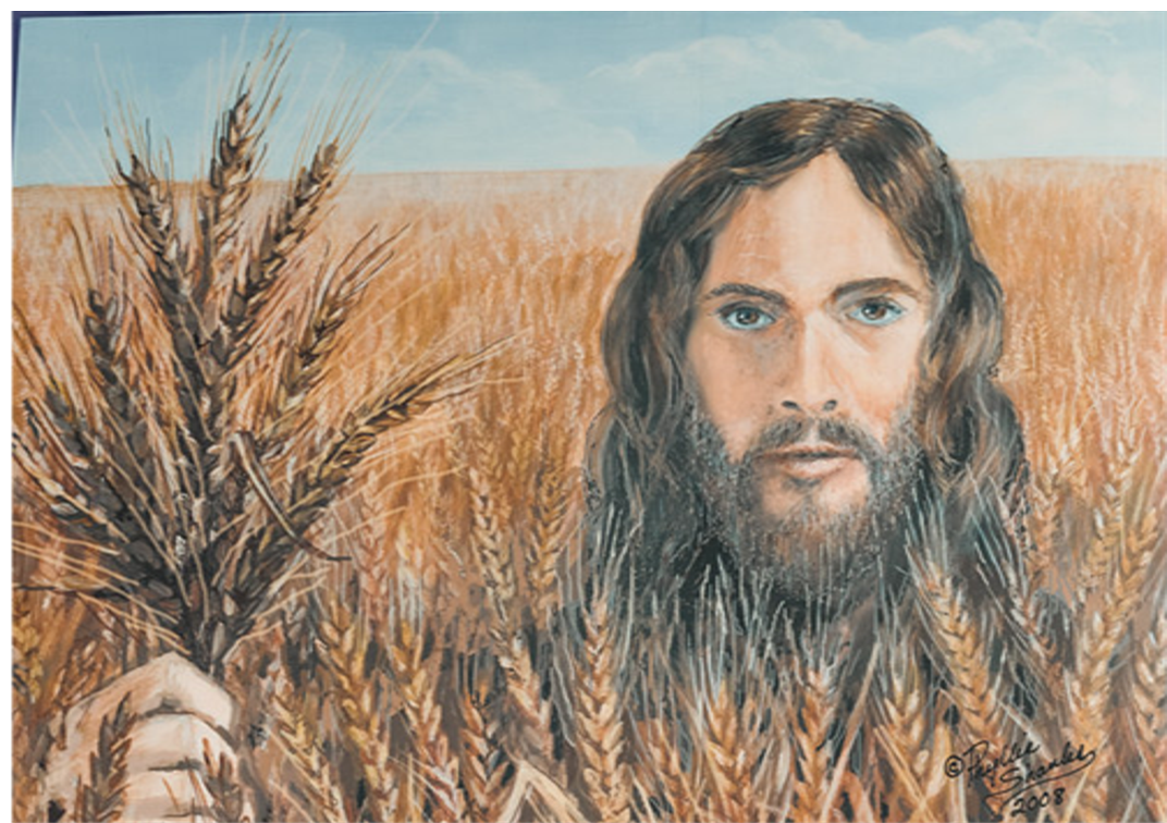 17th Sunday of Ordinary Time (Mt 14:13-21)