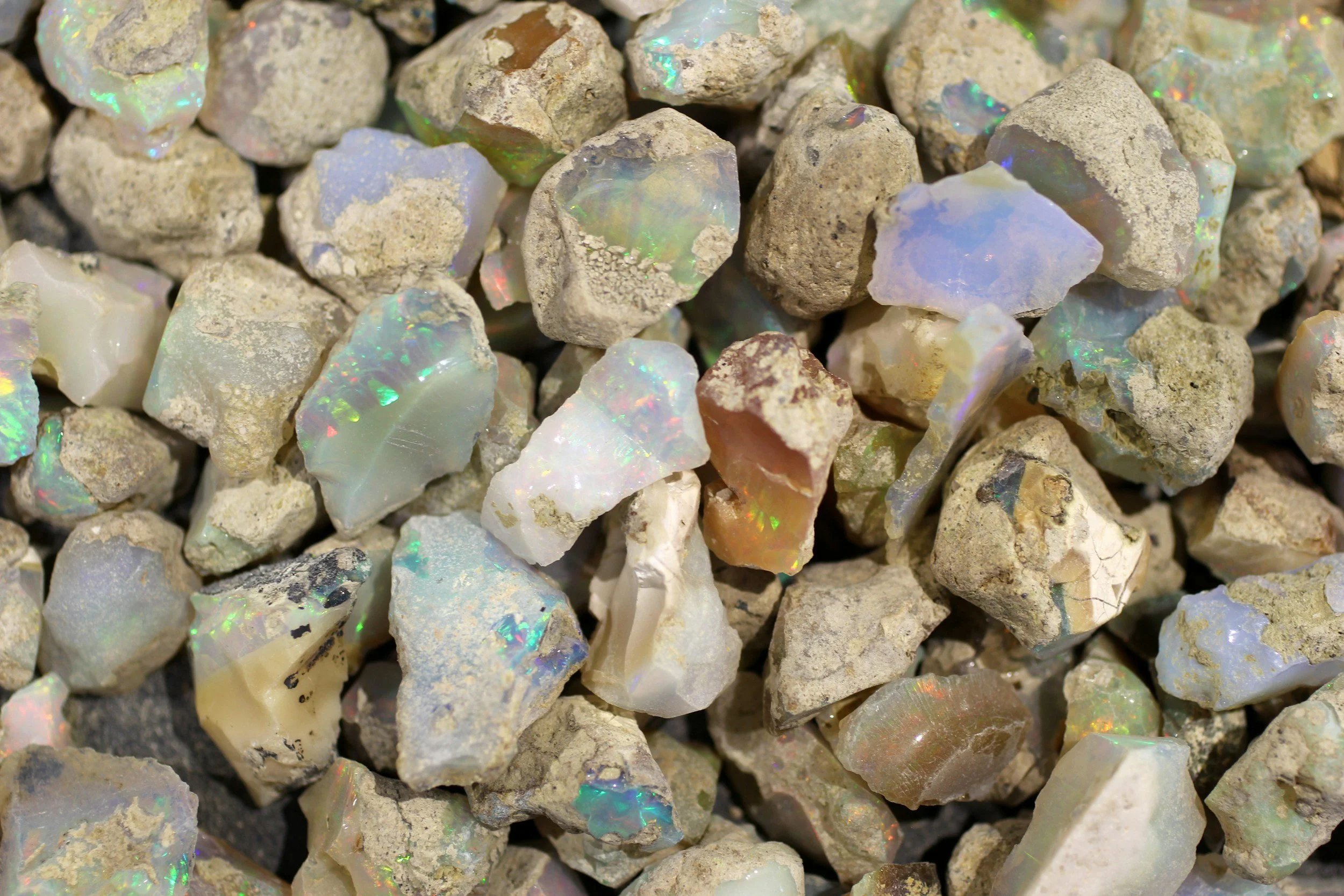 Living Stones