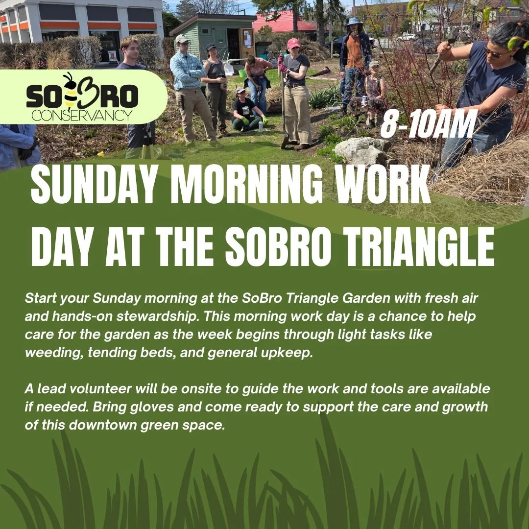 🌱 SoBro Work Day at the Triangle Garden (Sunday Morning)