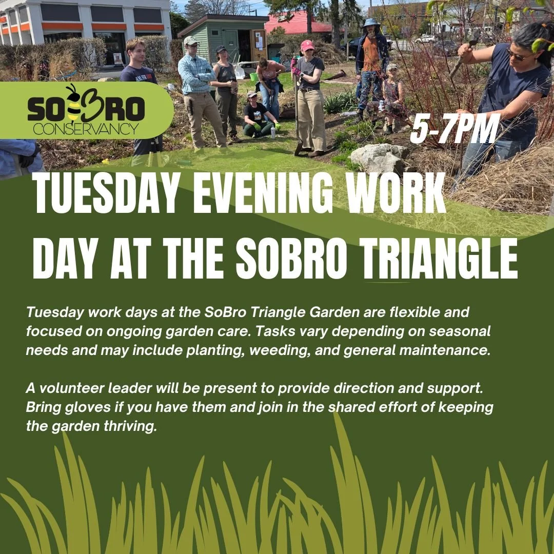 🌿SoBro Work Day at the Triangle Garden (Tuesday Evening)