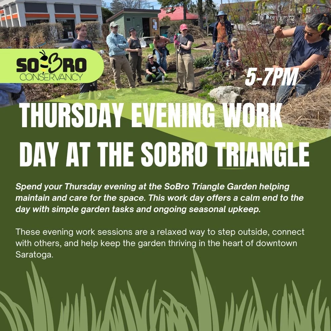 🌼 SoBro Work Day at the Triangle Garden (Thursday Evening)