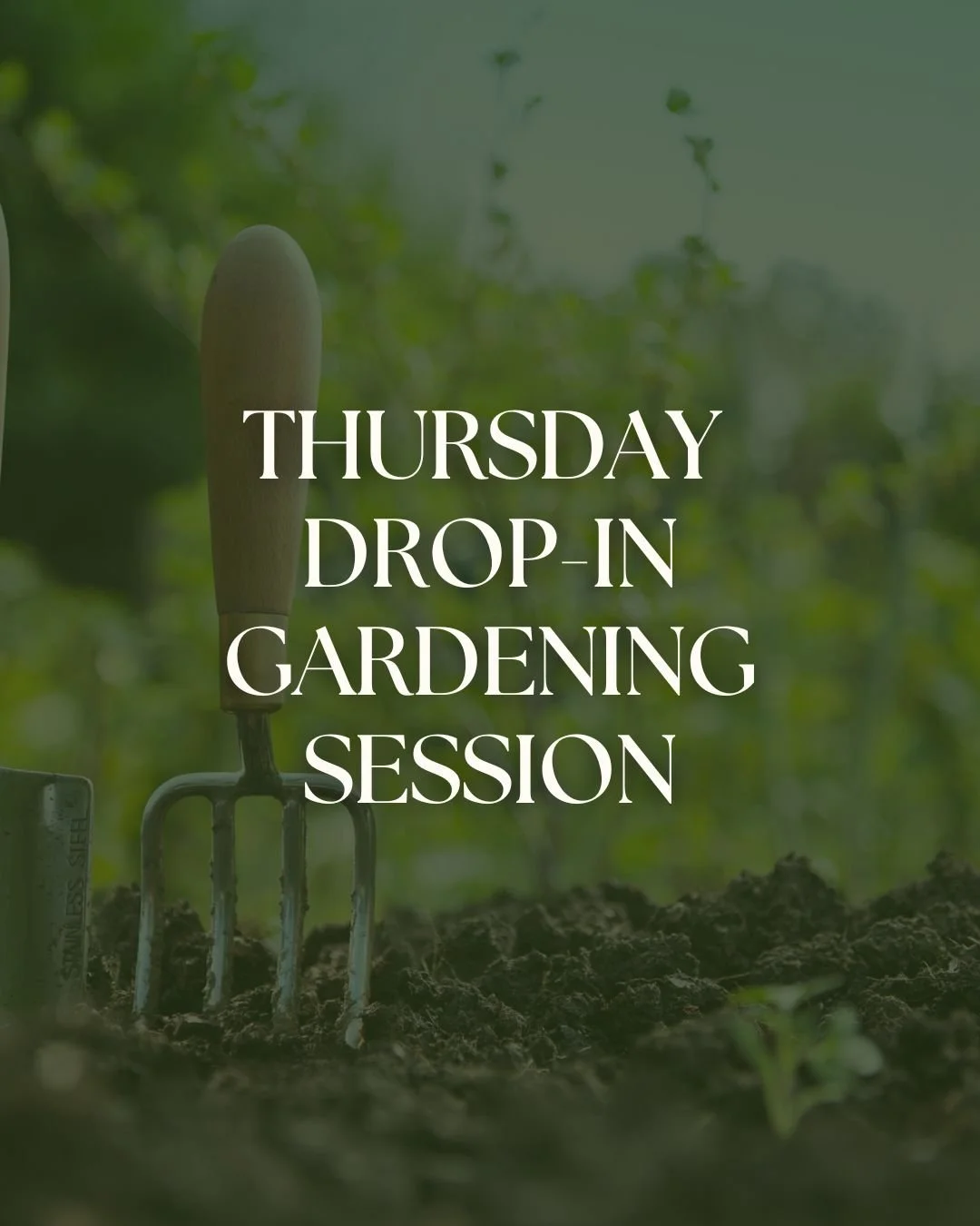 🌼 Regular Thursday Drop-In Gardening Session