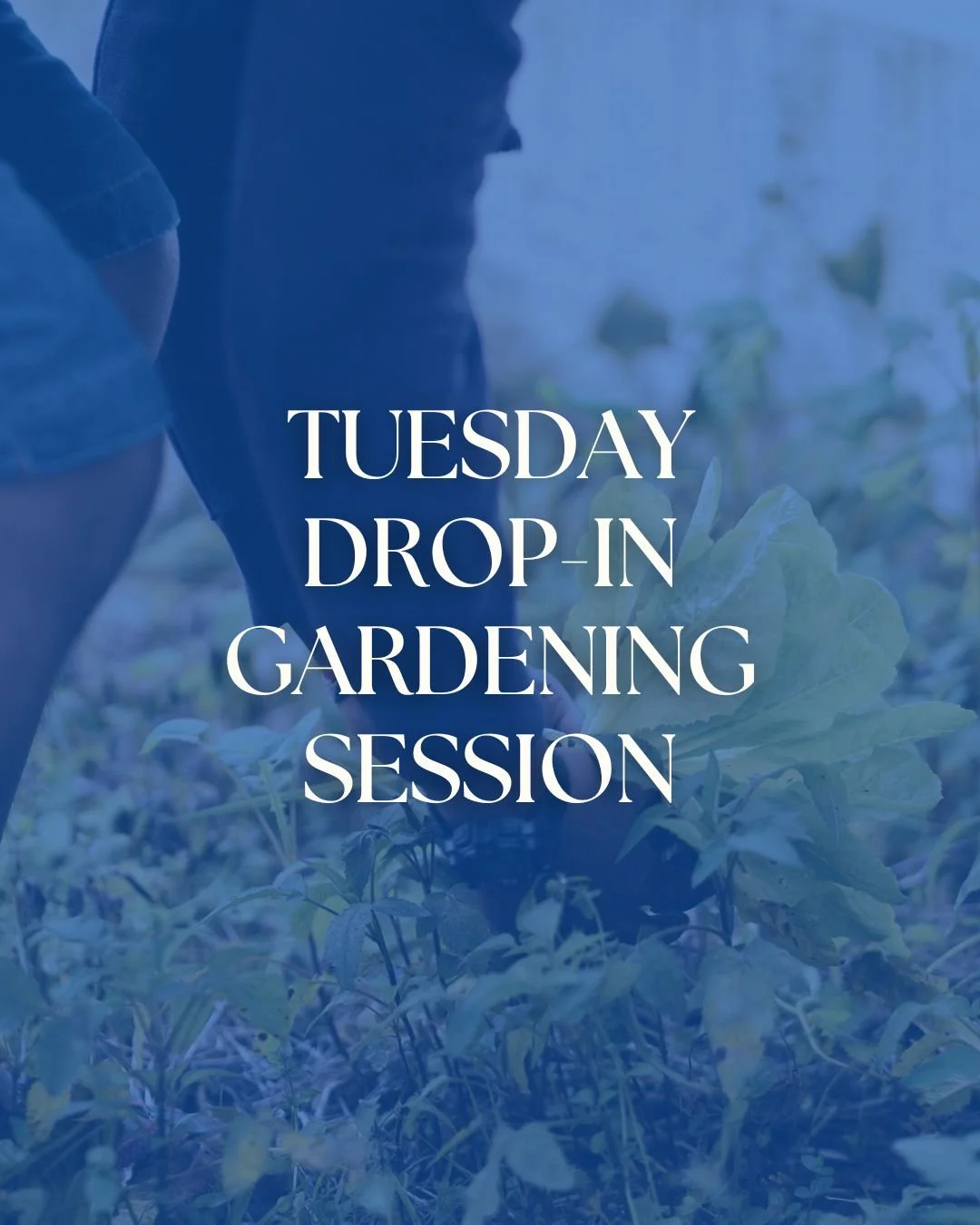 🌿Regular Tuesday Drop-In Gardening Session