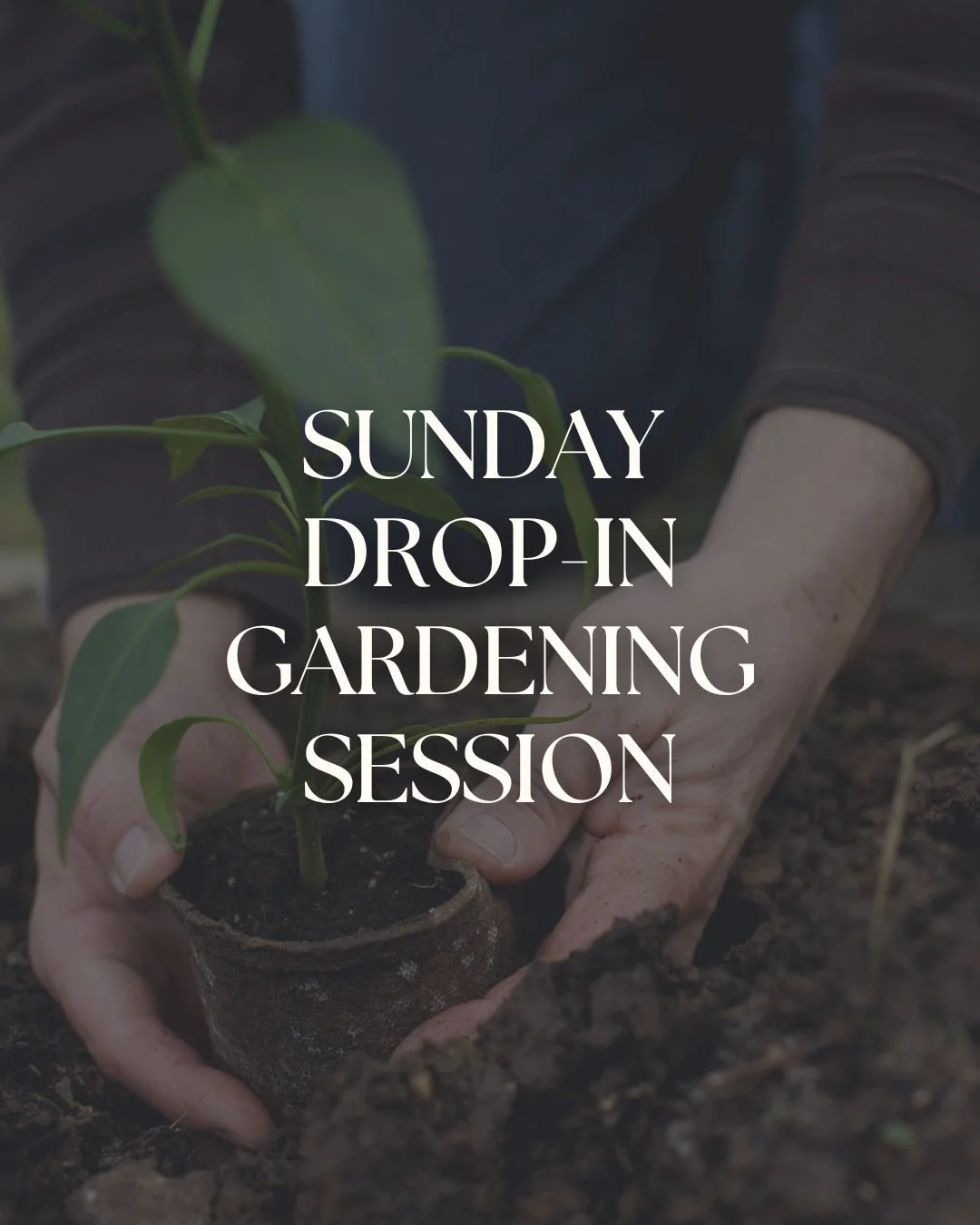 🌱 Regular Sunday Drop-In Gardening Session