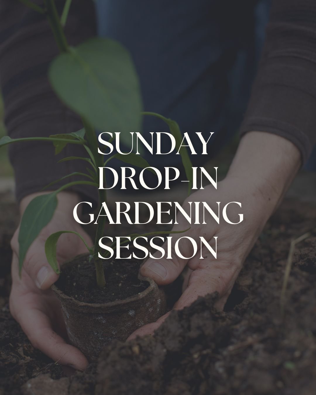 🌱 Regular Sunday Drop-In Gardening Session