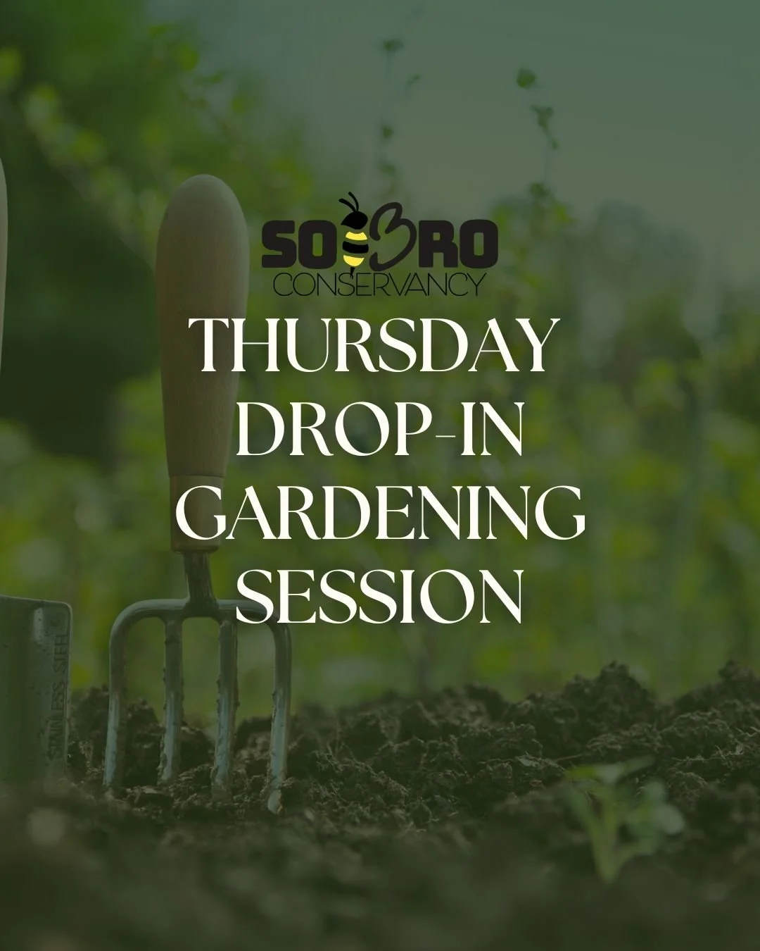 SPECIAL Thursday Morning drop-in session