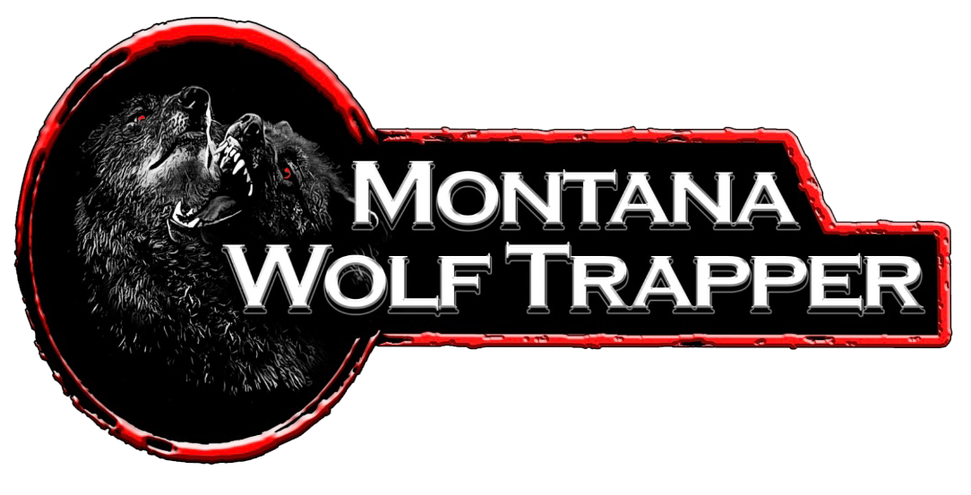 Montana Wolf Trapper