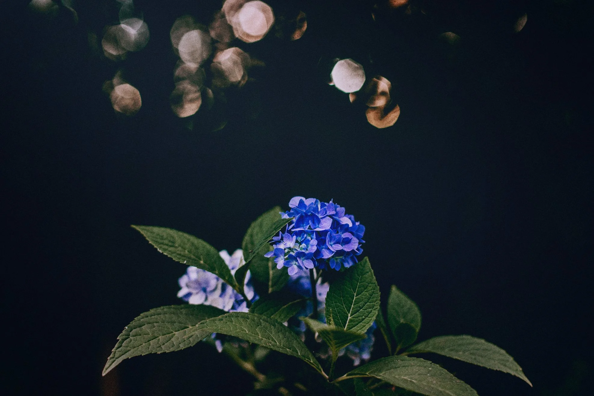 spring26-7029.jpg