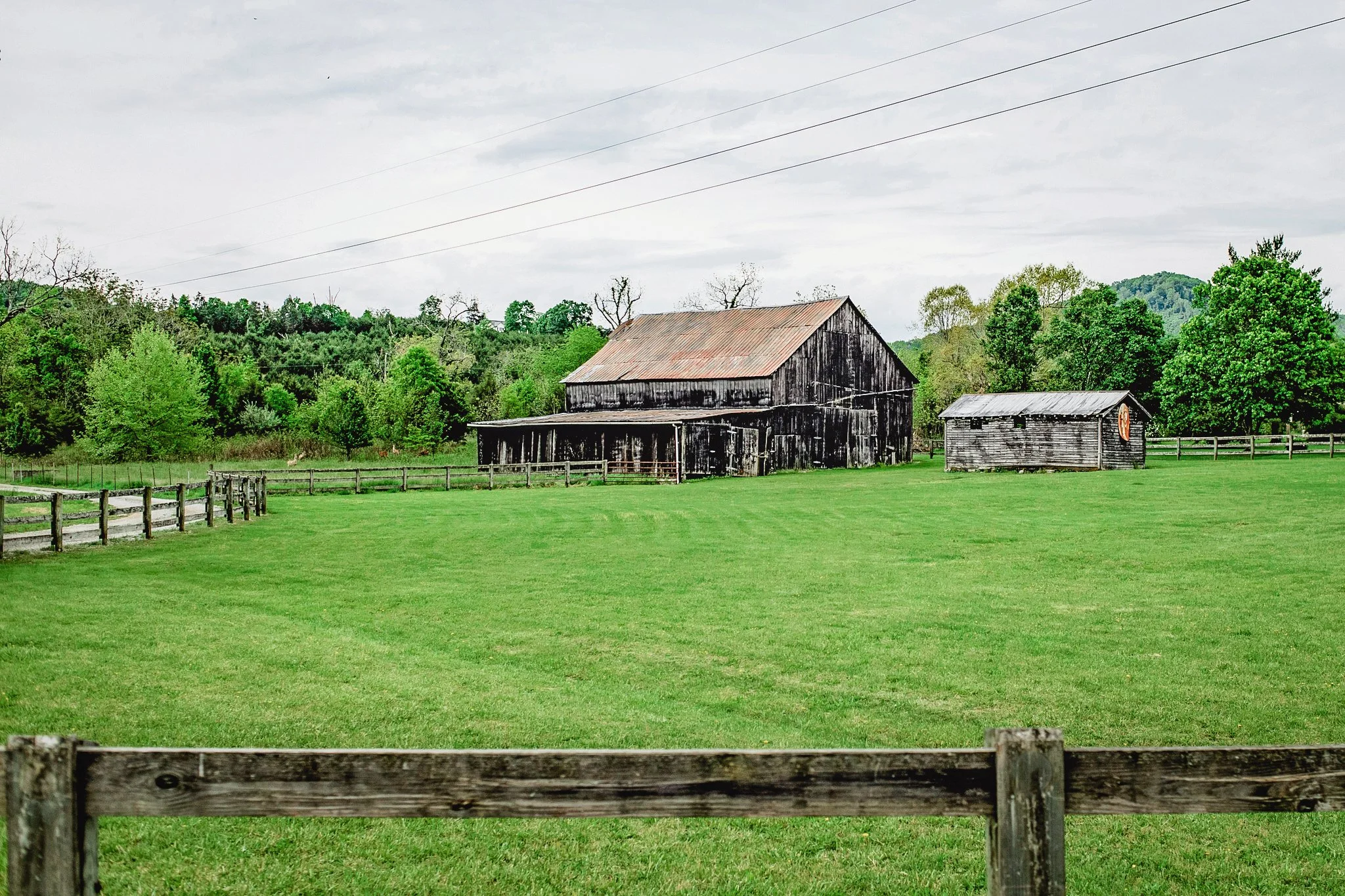 lee county-3393.jpg