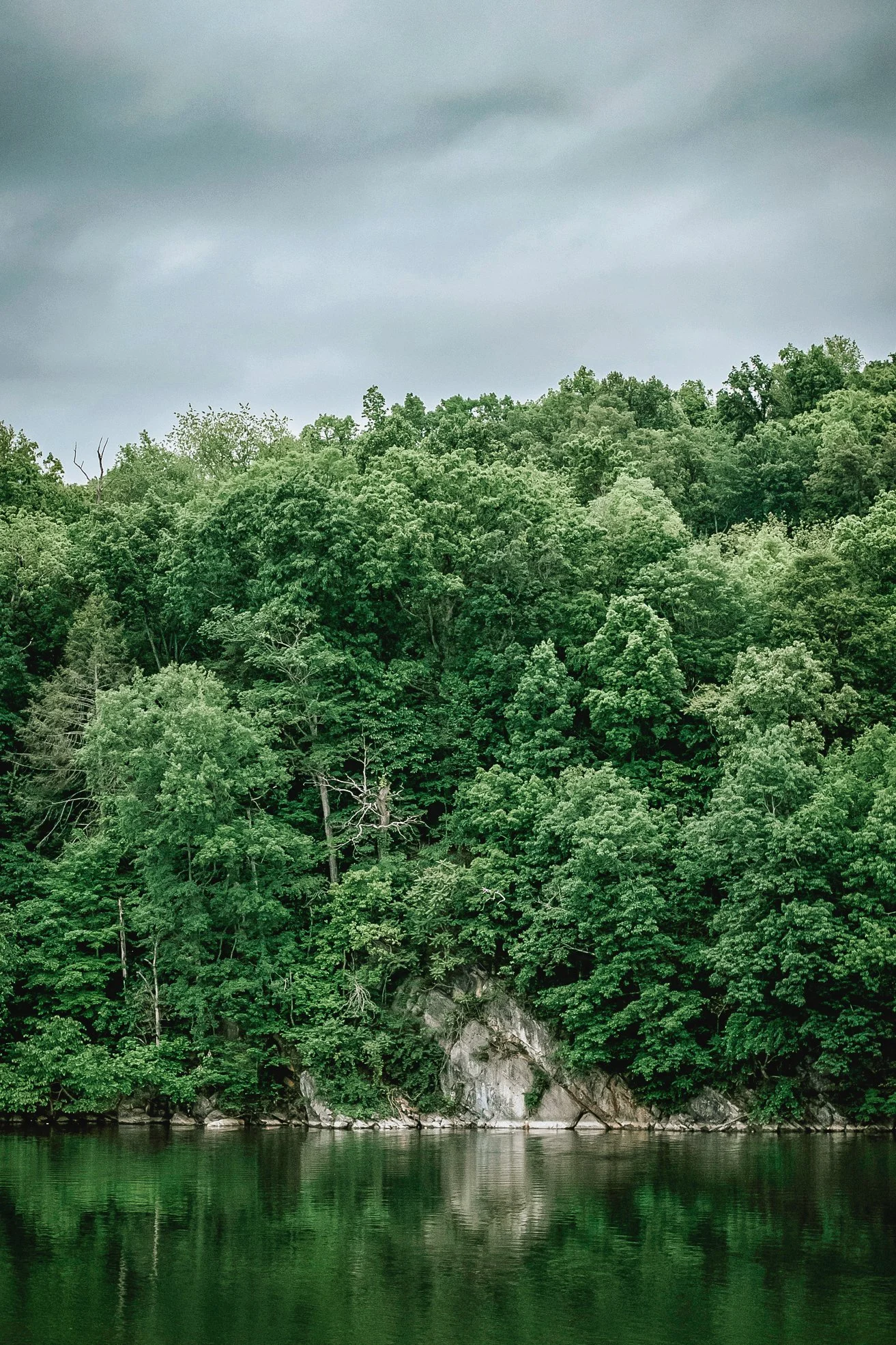 lee county-9449.jpg