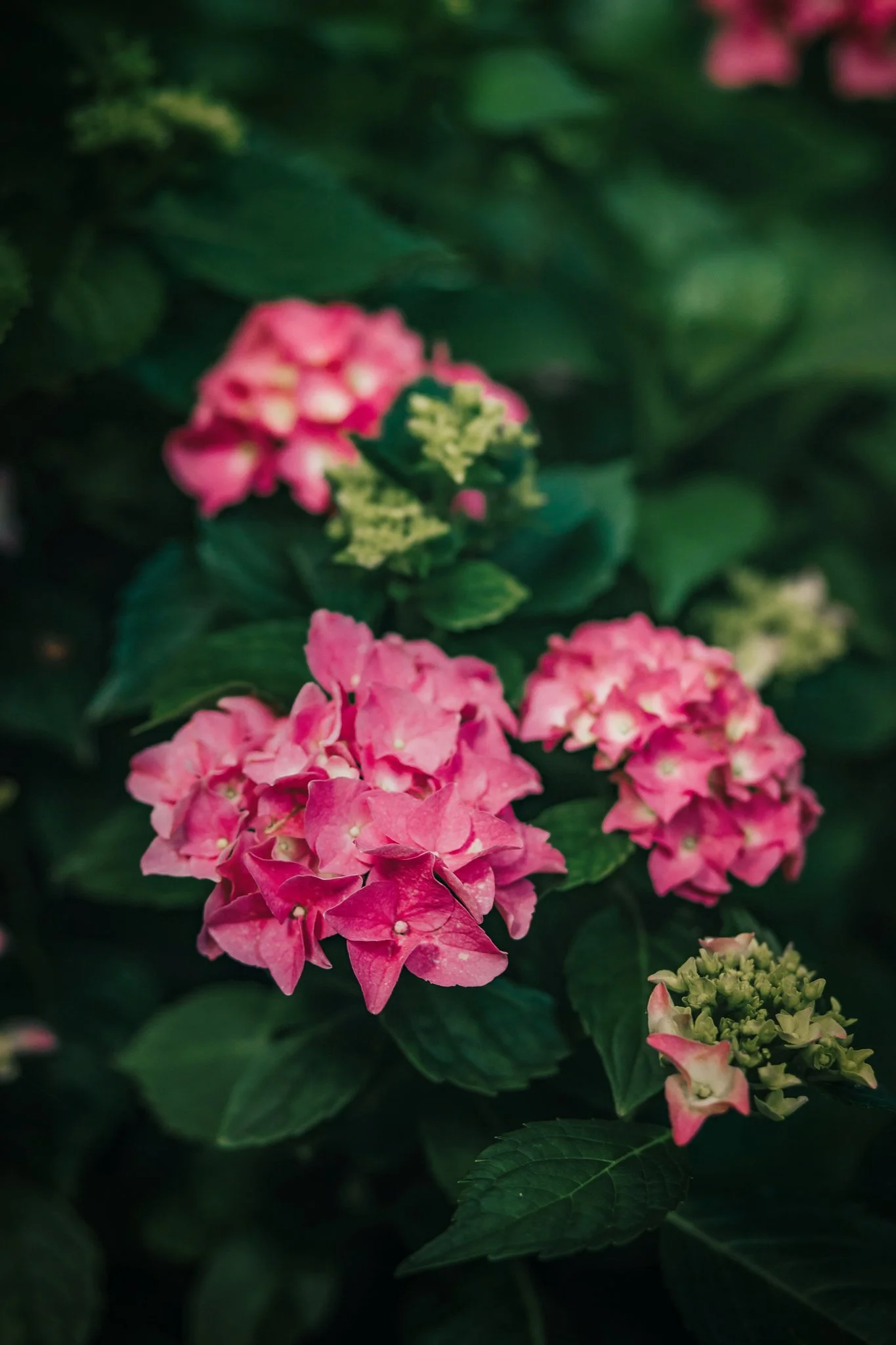 spring26-6971.jpg