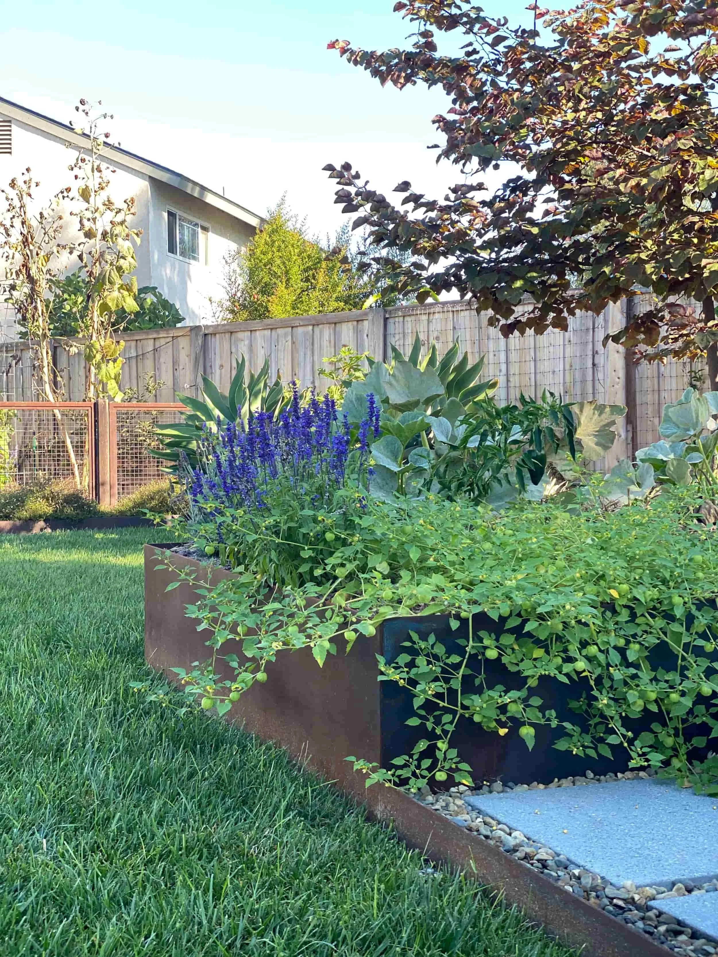 Modern Landscape Design by REDInteriors Interior Designer in La Jolla, CA (3).jpg