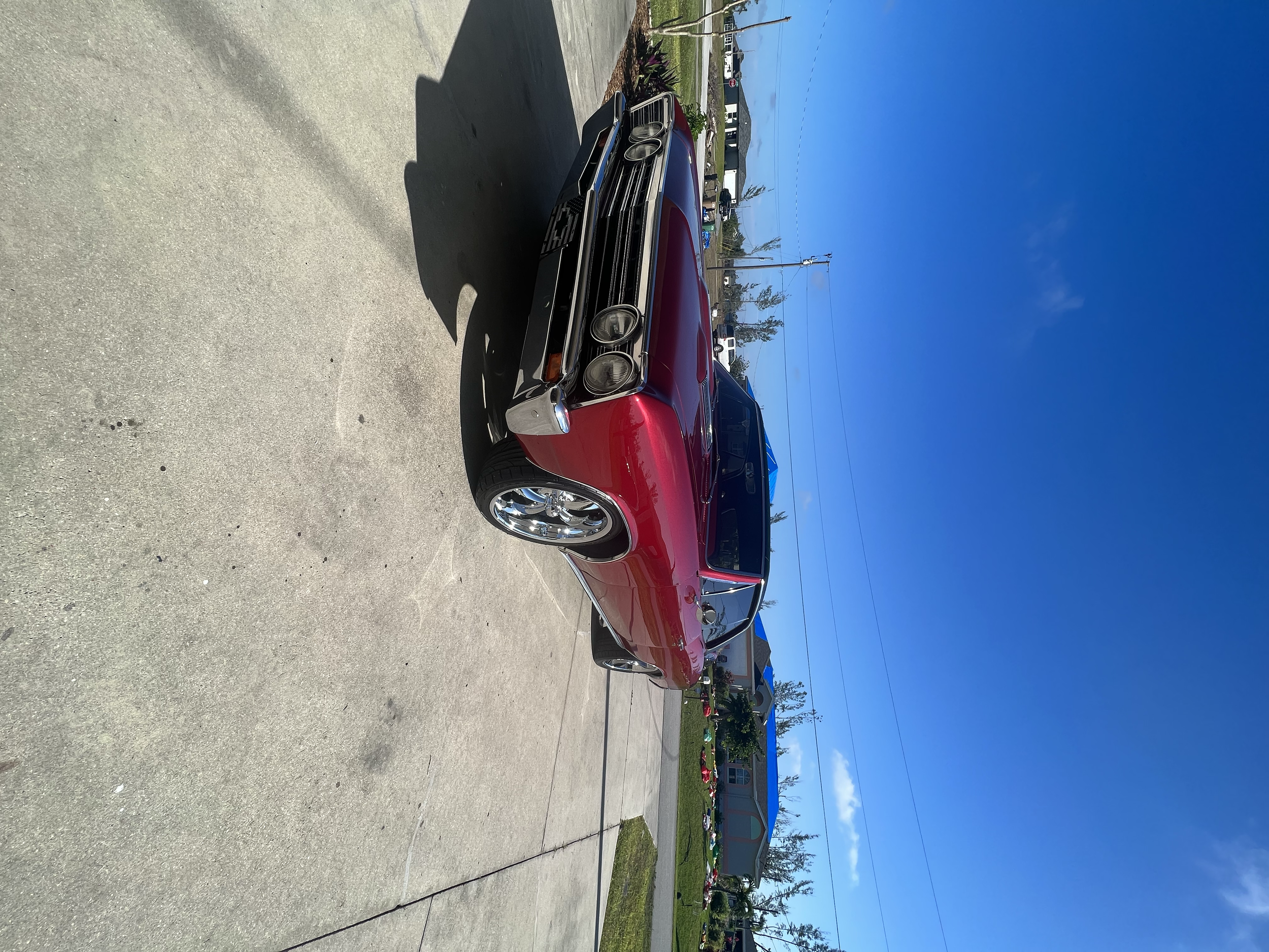 ceramic coating & paint correction