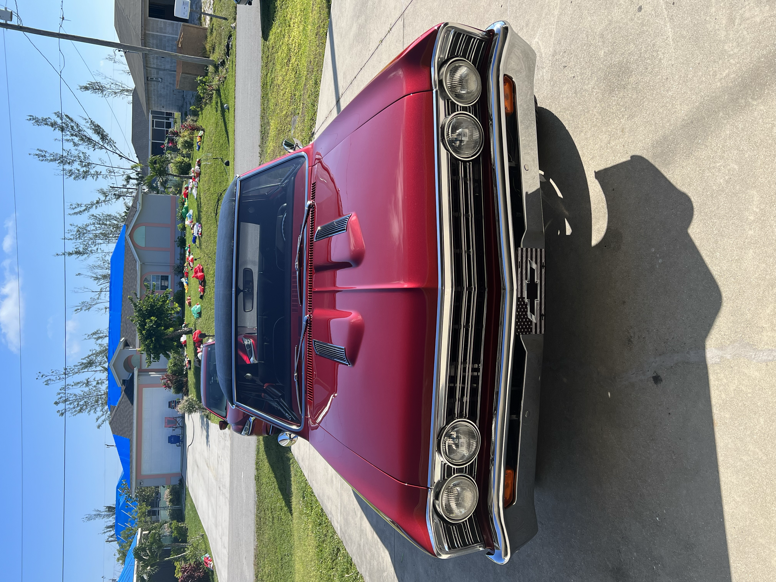ceramic coating & paint correction