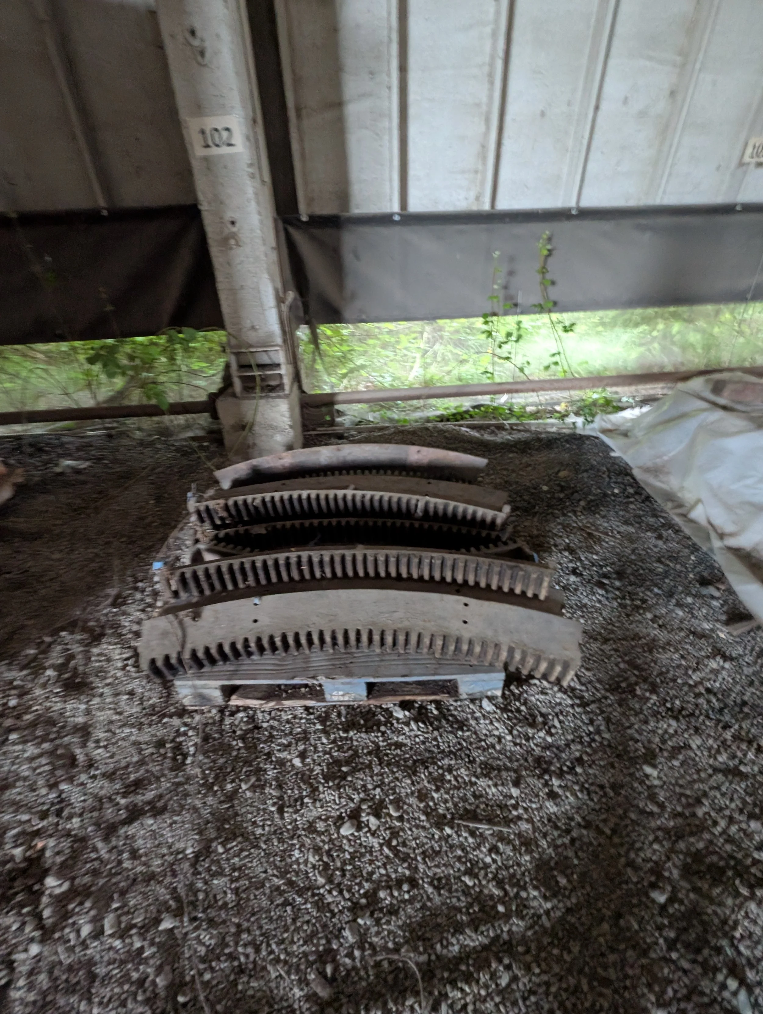 PXL_20260530_204609298.jpg