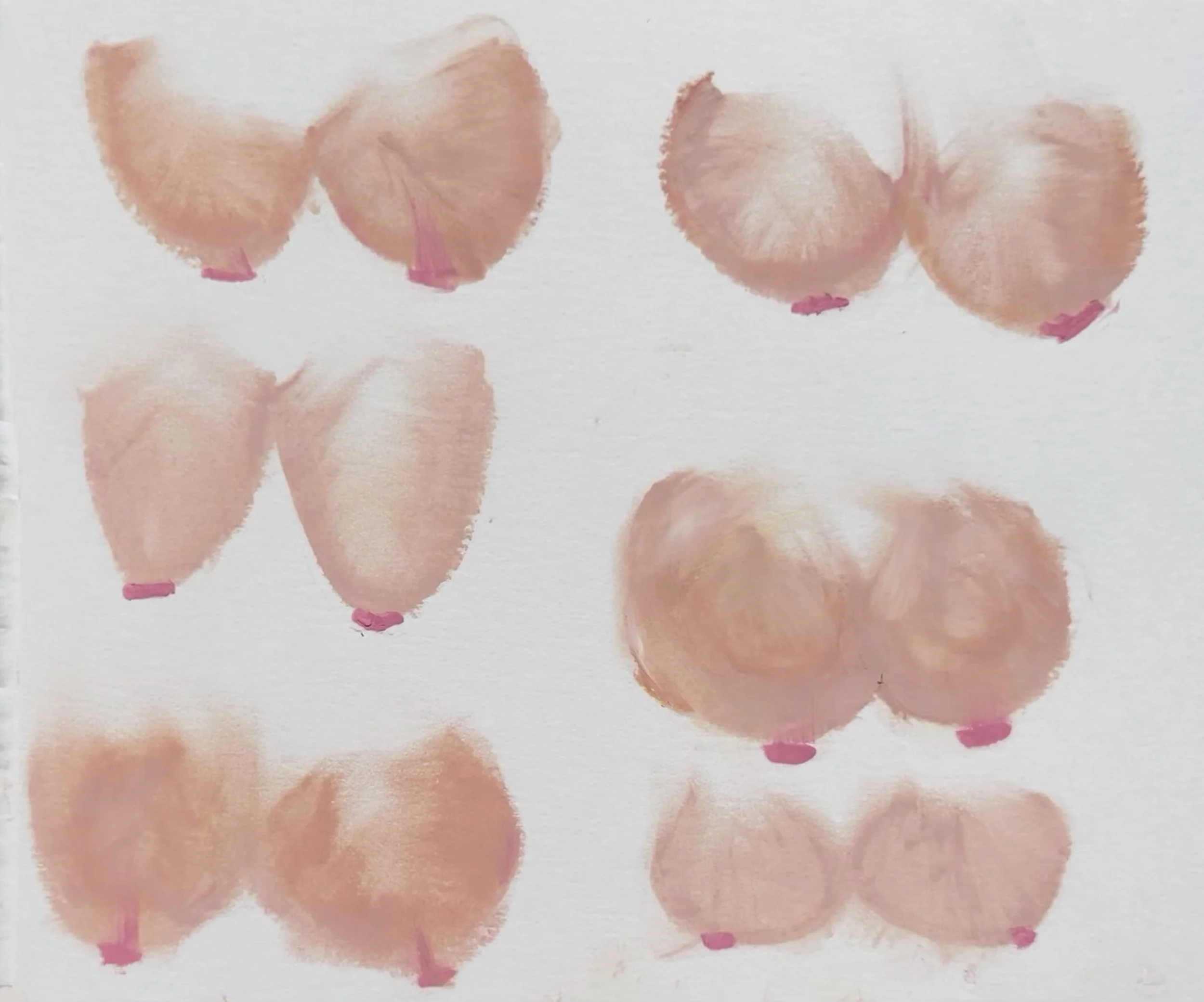 boob etudes 2, oil pastel on paper, 6 x 8 inches