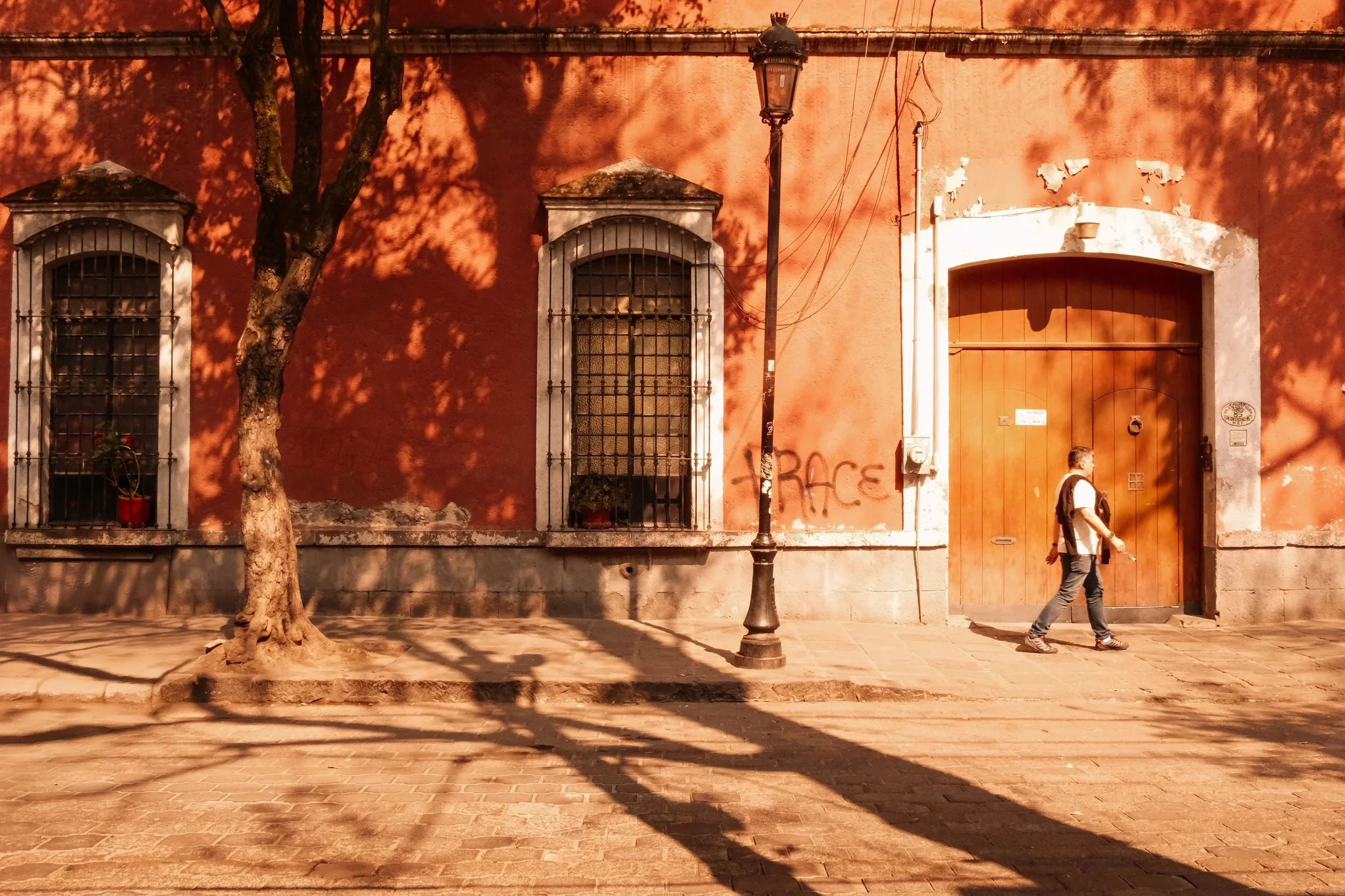 DSCF3384-Edit.jpg