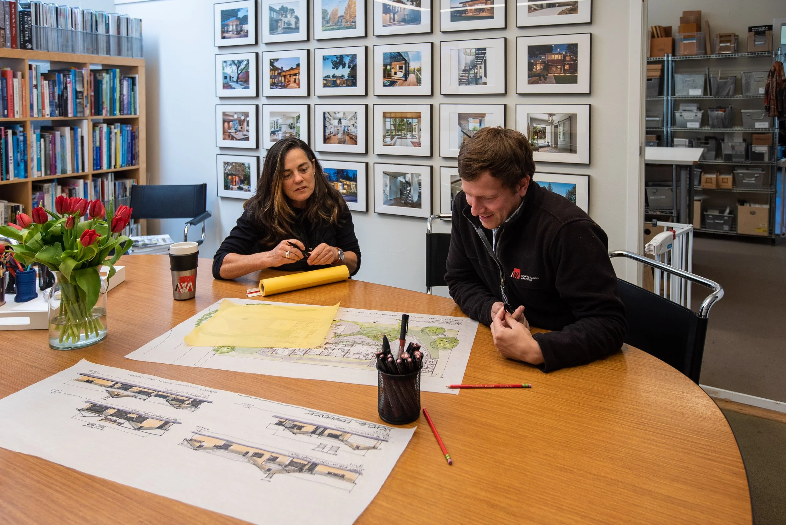 Ana Williamson Architect