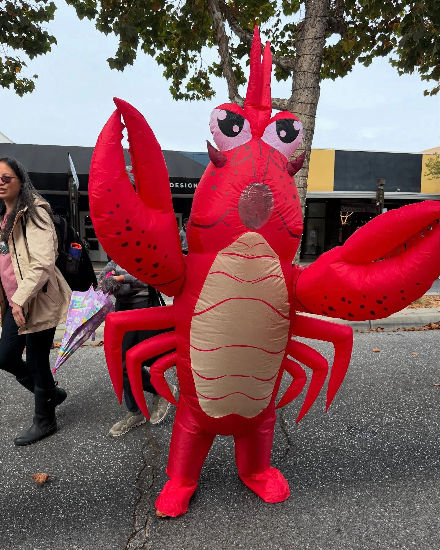 Another super fun Halloween Hoopla in downtown Menlo Park.
Thank you, @cityofmenlopark !
And thanks, @rococoandtaupe for the pics.