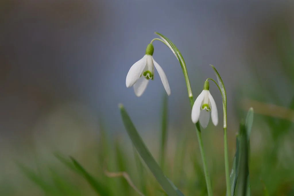When will the rain stop?
