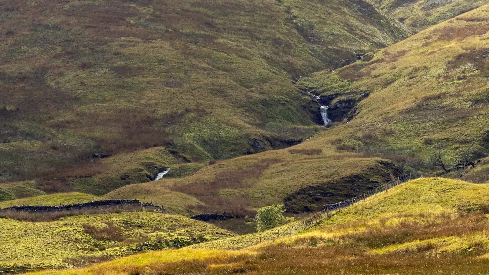 A valley worth investing in