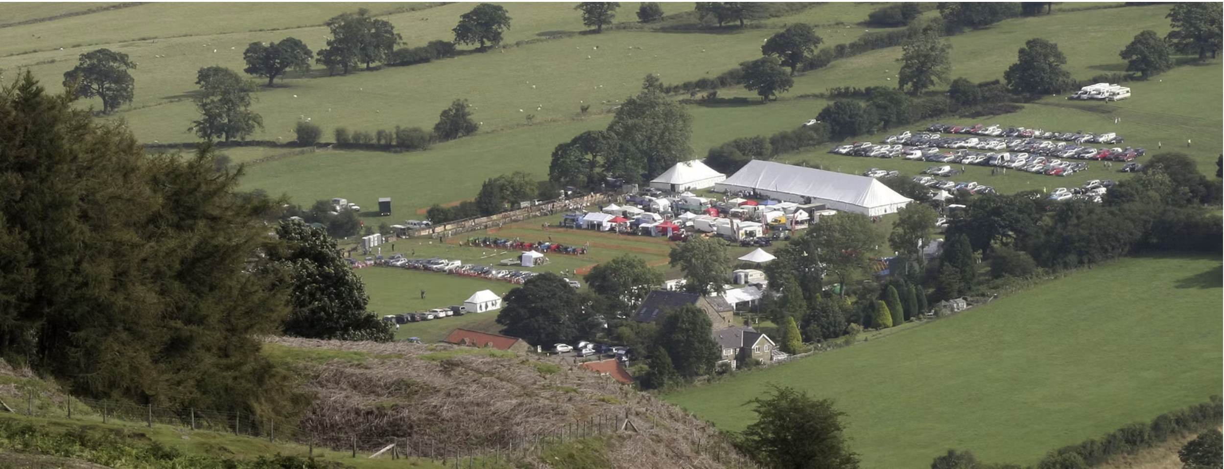 The Rosedale Show