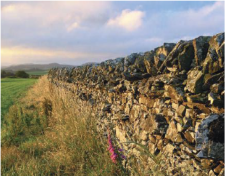 Blanchland & Hunstanworth Show