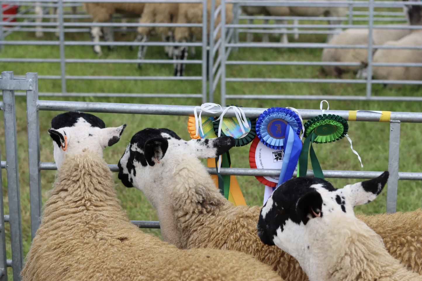 Kildale Agricultural Show
