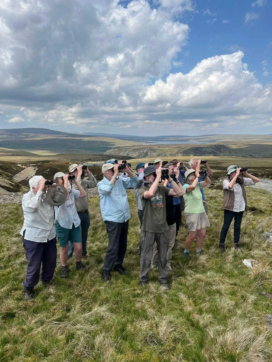 A Morning on the Moors and a Rare Nightjar Sighting in the North Pennines