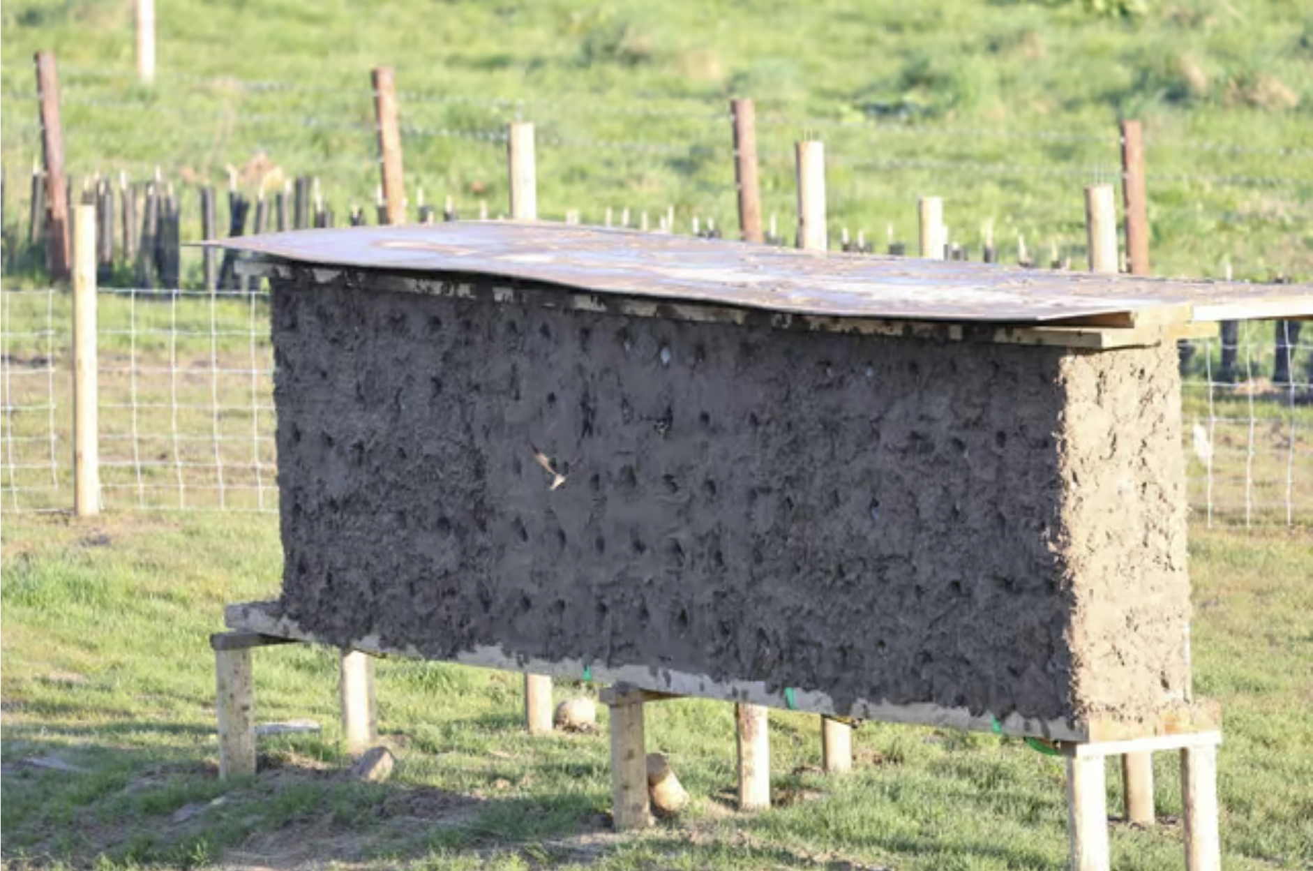Yorkshire Dales gamekeepers and community team up to provide new home comforts for sand martins