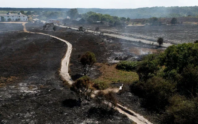 July Wildfires Must Prompt Reform of Moorland Management Regulations