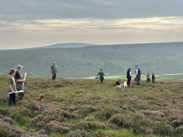 Grouse Season Set to Deliver Over £1 Million in Wages Across the North Pennines as the Glorious 12th Arrives with Renewed Optimism