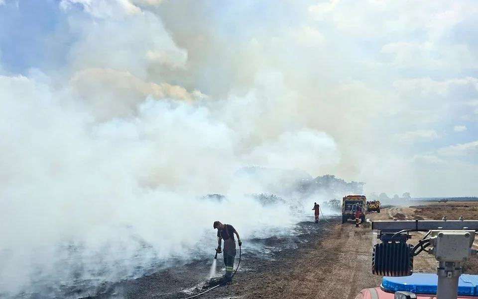 Burnham considers ban on disposable barbecues