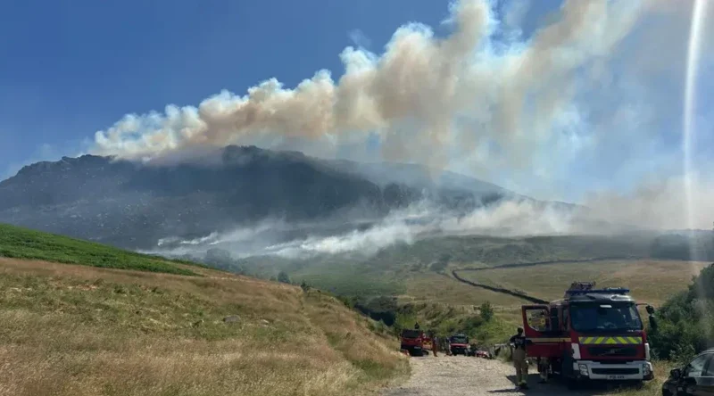 Four more people face arson charge over wildfire