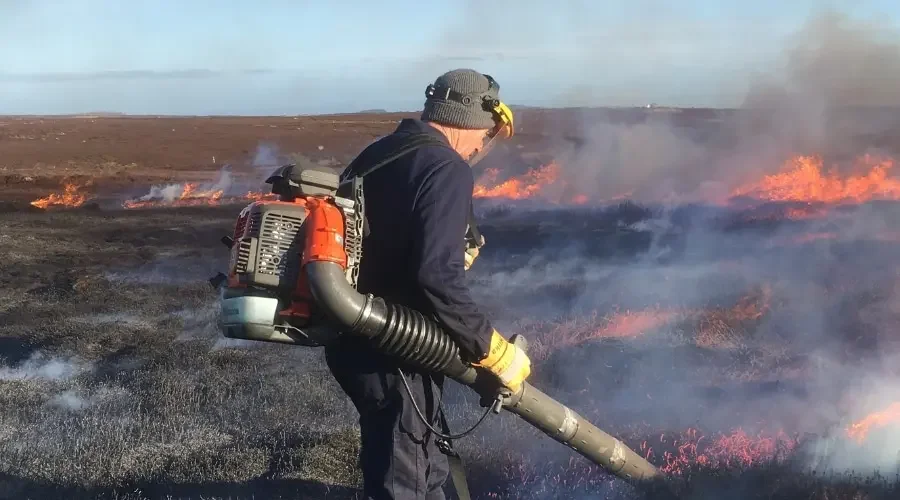 From Summer Wildfires to Autumn Action: Caring for Our Moors