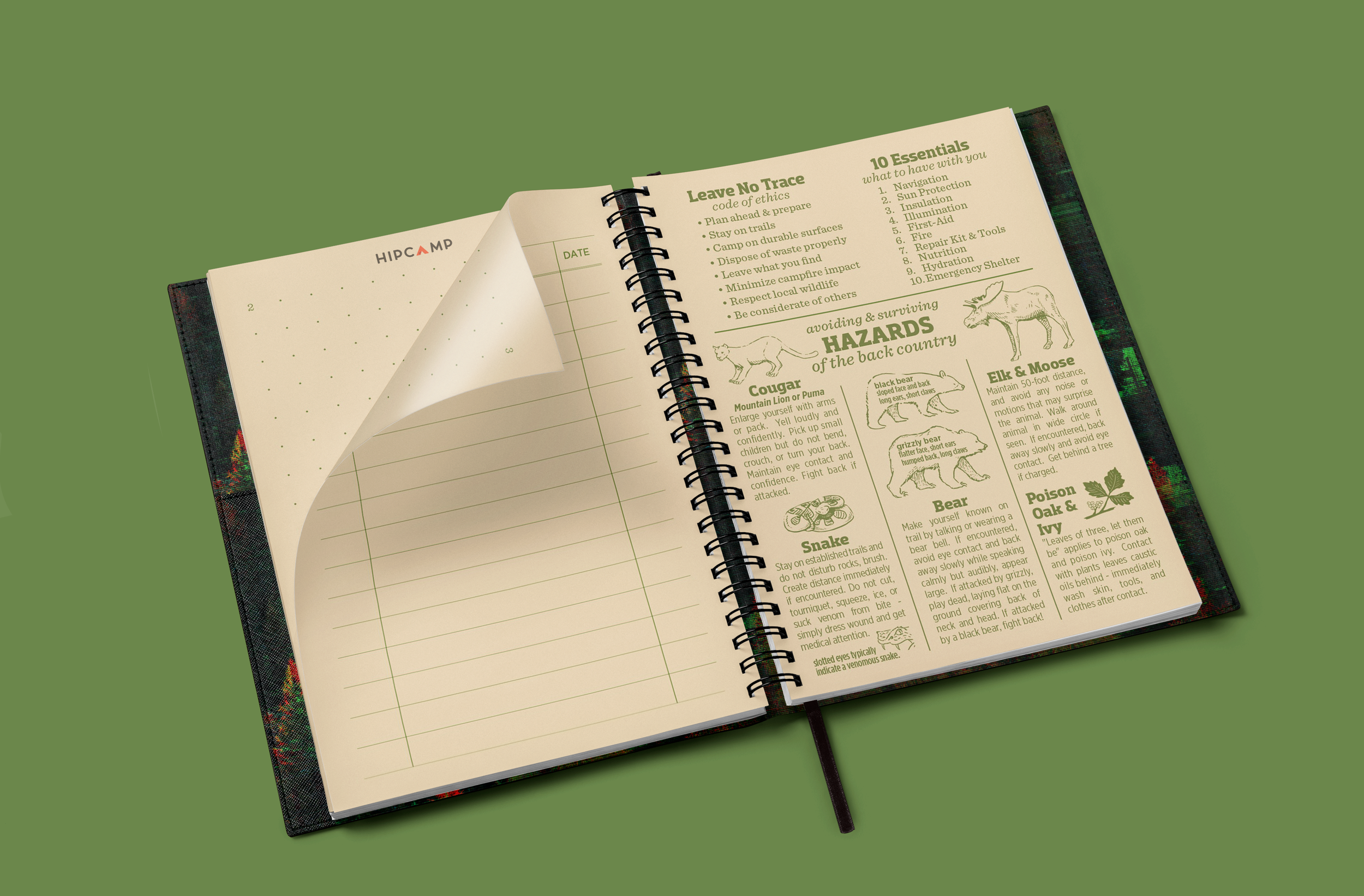 journal-inside-green.png