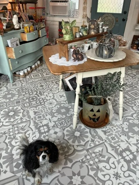 Interior of a vintage-style kitchen or dining area with patterned tile floor, a wooden table holding decorative pumpkins and a doily, and a potted plant in a pumpkin-shaped container with a smiling face. A small black and white dog with long ears sit