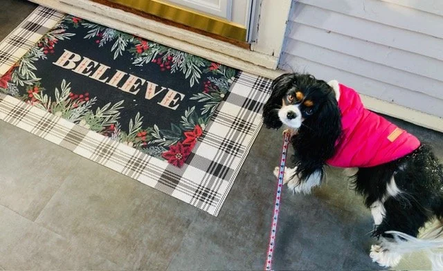 Small dog in a pink jacket standing on the porch next to a decorated holiday doormat that reads 'BELIEVE'.