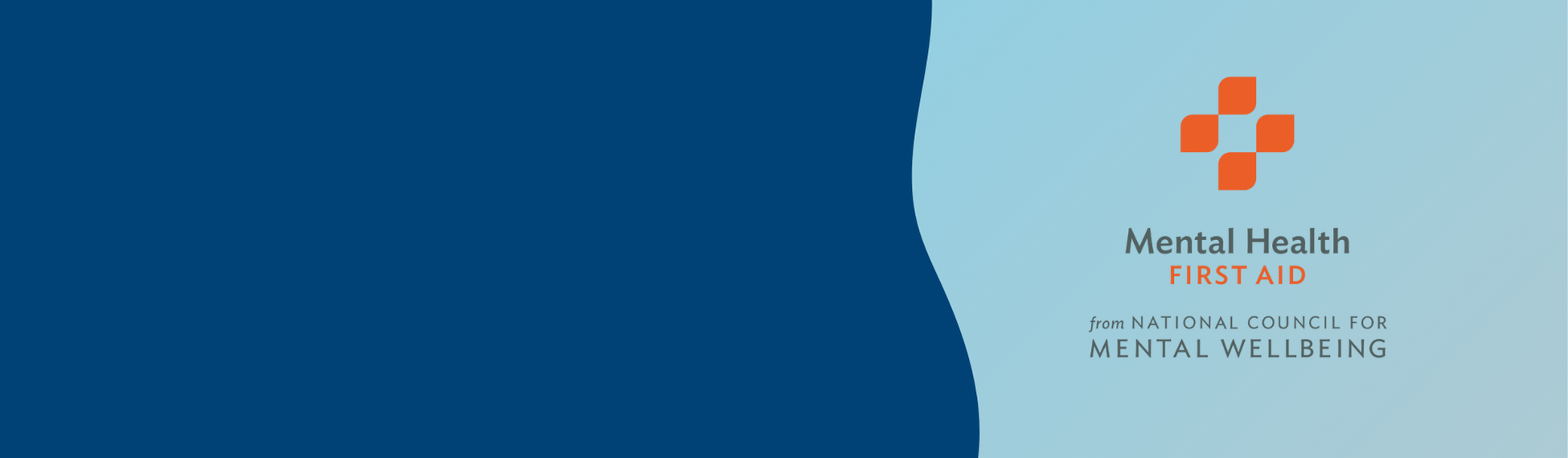 Mental Health First Aid Training Twin Cities.png