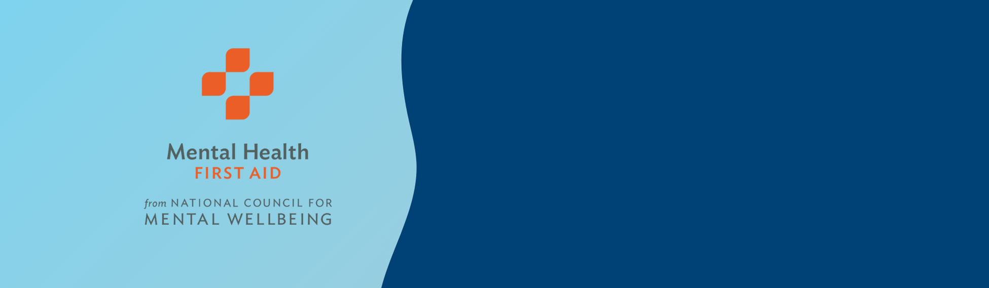 Mental Health First Aid Training Twin Cities.png