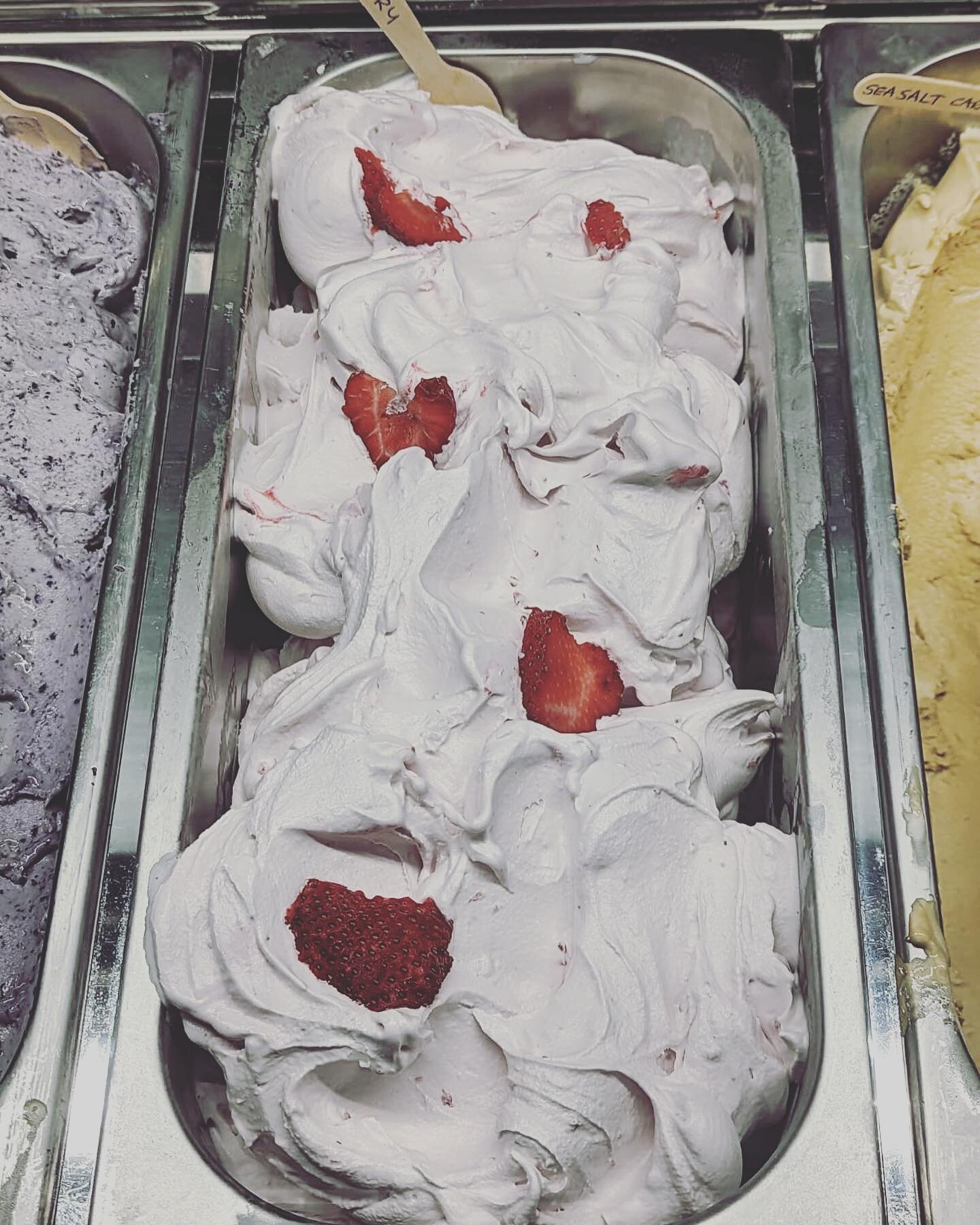 First of new season Scottish strawberries from Castleton Farm in Aberdeenshire - delicious freshly made strawberry gelato in the cabinet today 🍓🍓🍓🍓yum😋