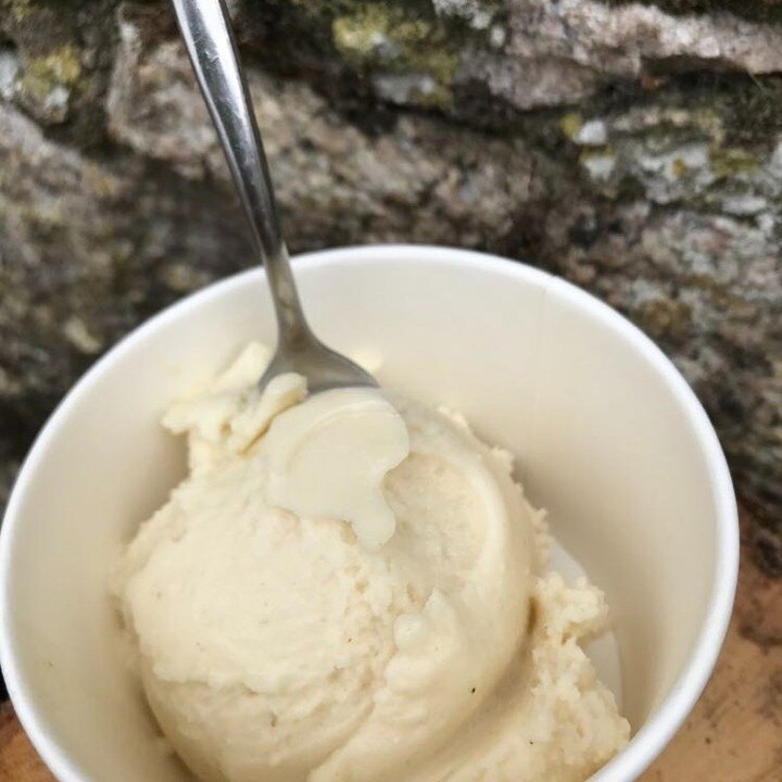 Lovely creamy natural vanilla Oatie Ice Cream on the go - made this morning with our home-made oat milk from Scottish organic oats, and flavoured with our fabulous sustainable vanilla sugar #veganicecream #naturalicecream #scottishproduce #dairyfreei