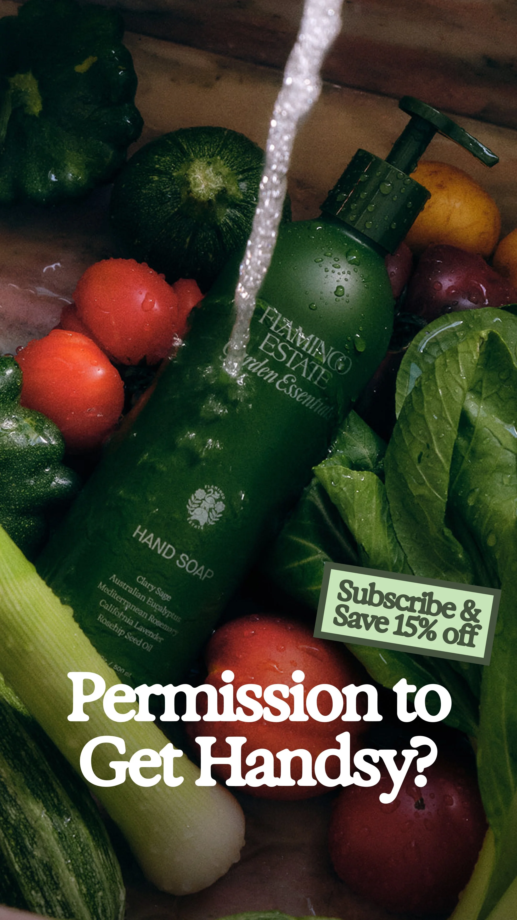 [V2] 9x16 GE Hand Soap Subscription.jpg