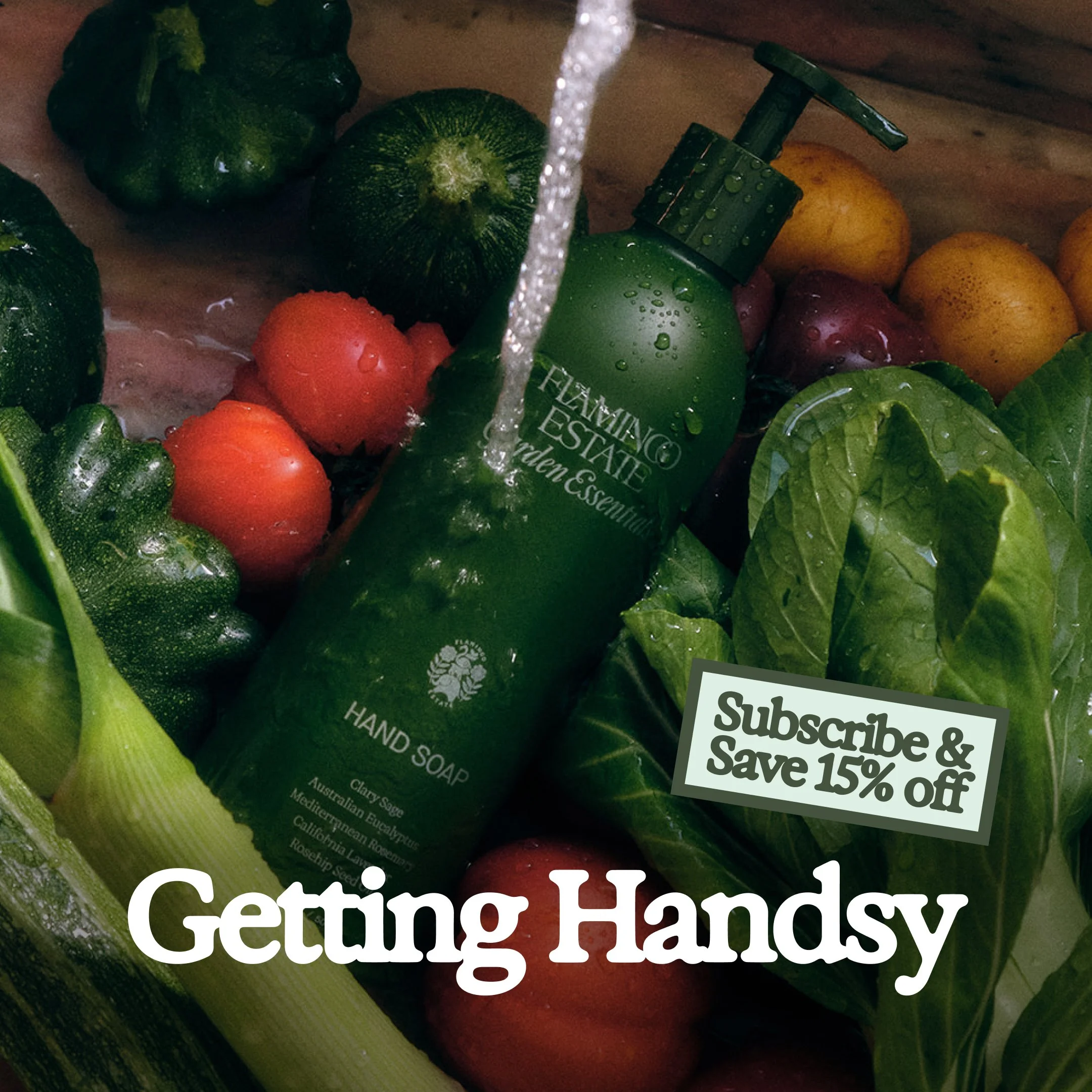 [V1] 1x1 GE Hand Soap Subscription.jpg