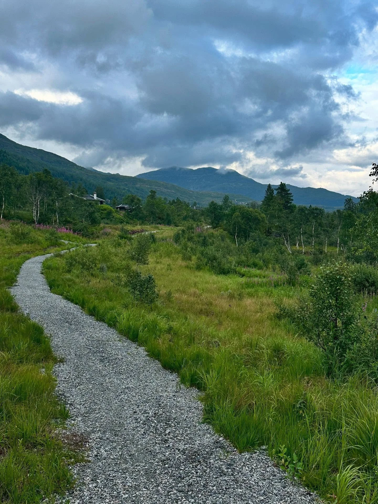 Summer late afternoon strolls 

#kvamskogen #afternoonstroll #eveningwalk #cabindays #summerevenings #norway #eveningsun #mountaindays #fjellet#fjelllivet #hyttelivet #hytte #fjelljente #englishcabingirl